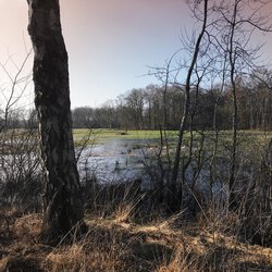 Moor 2